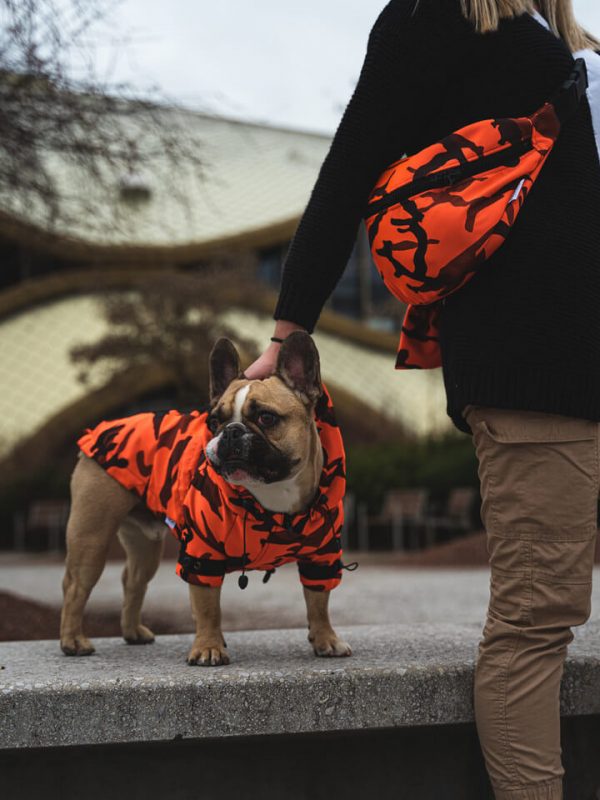 Sport Billy torbica Frajer 2