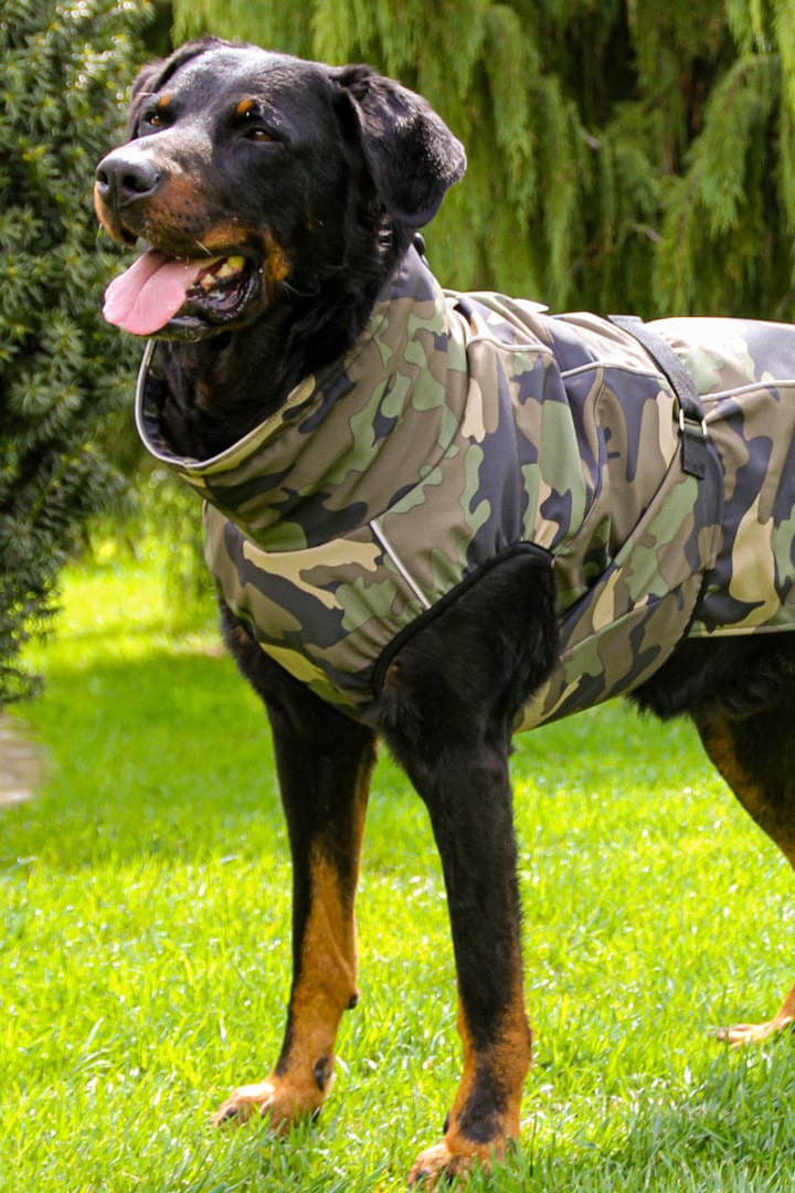 Dežni plašč za pse Pancho beauceron