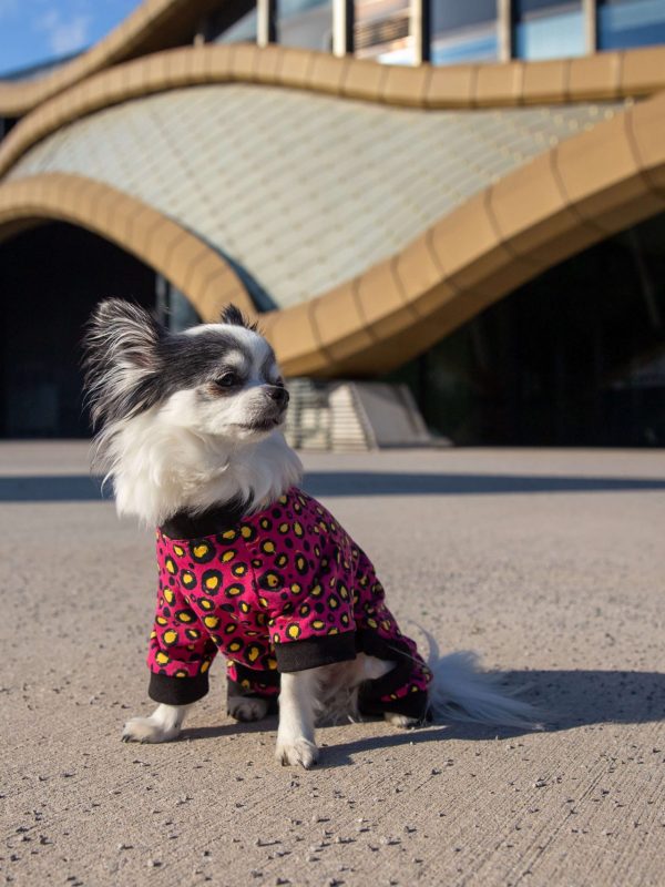 Oblačilo za pse Pancho pasja obleka Metulj črn 1