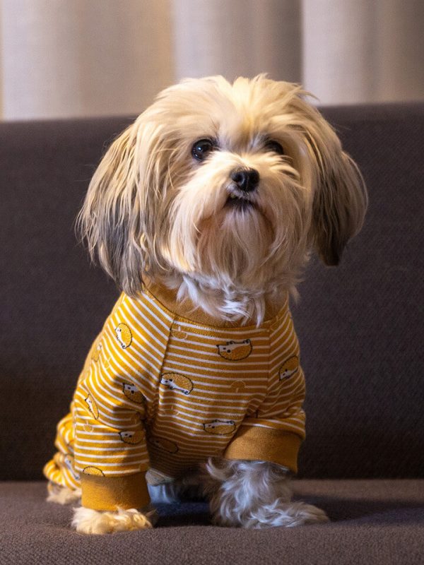 Oblačilo za pse Pancho mesancek pasja obleka jezek 1