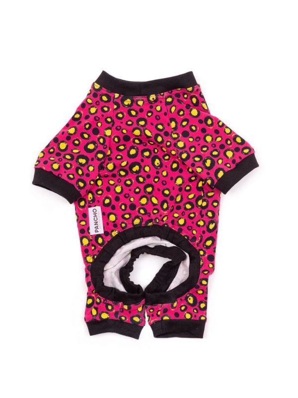 Oblačilo za pse Metulj