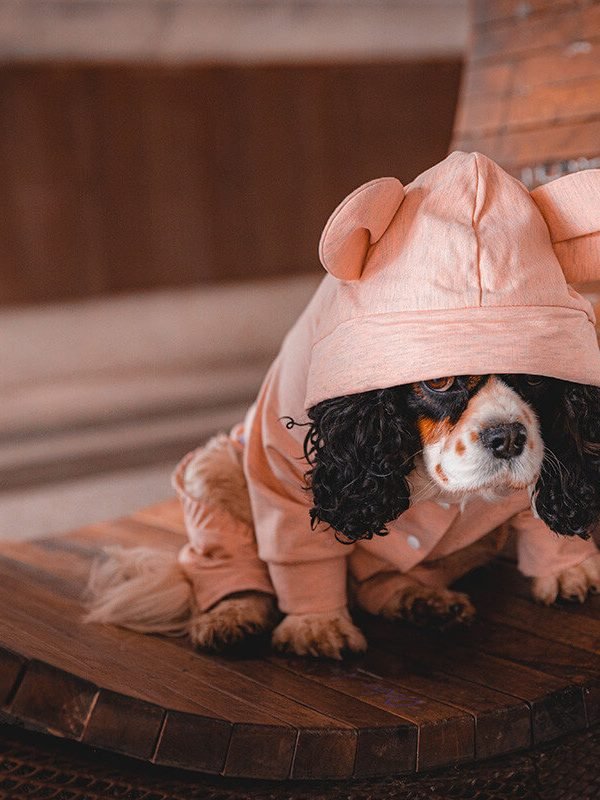 Oblačilo za pse Pancho pasja obleka Uhko roza