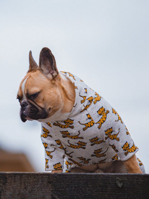 Oblačilo za pse Pancho francoski buldog pasja obleka Tiger 3