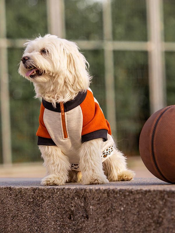 Oblačilo za pse Pancho maltezan pasja obleka Ris