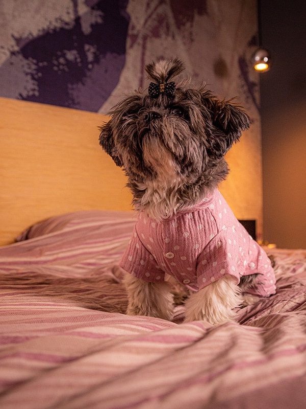 Oblačilo za pse Pancho Shih Tzu pasja obleka pizama Pika roza