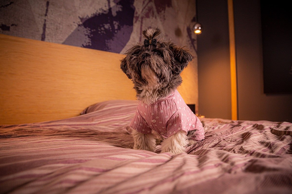 Oblačilo za pse Pancho Shih Tzu pasja obleka pizama Pika roza