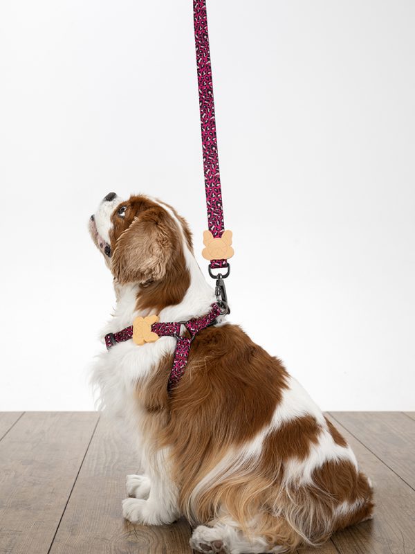 Pancho oprsnica za pse roza mestni safari