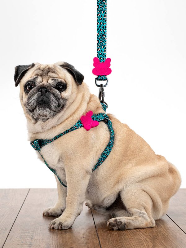 Pancho oprsnica za pse turkizni mestni safari