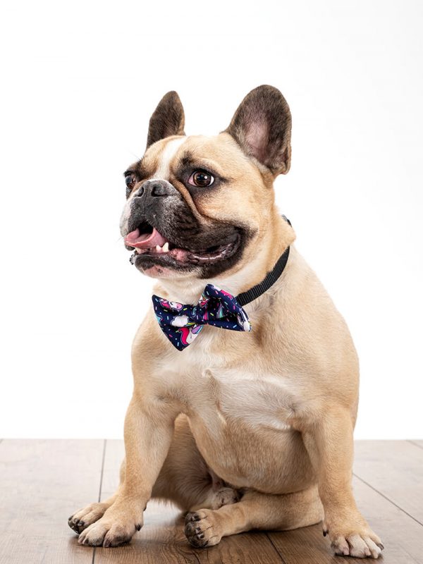 Pancho metuljčki za pse Samorog