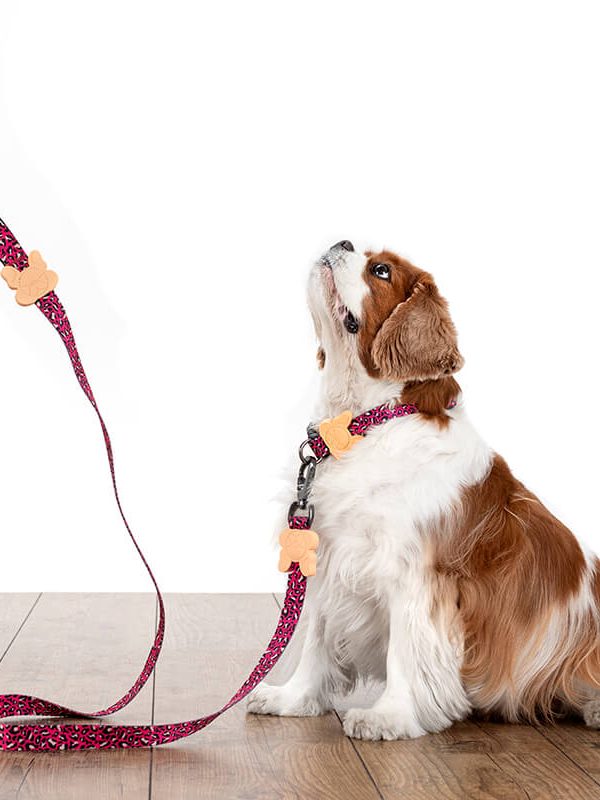 Pancho ovratnica za pse roza mestni safari